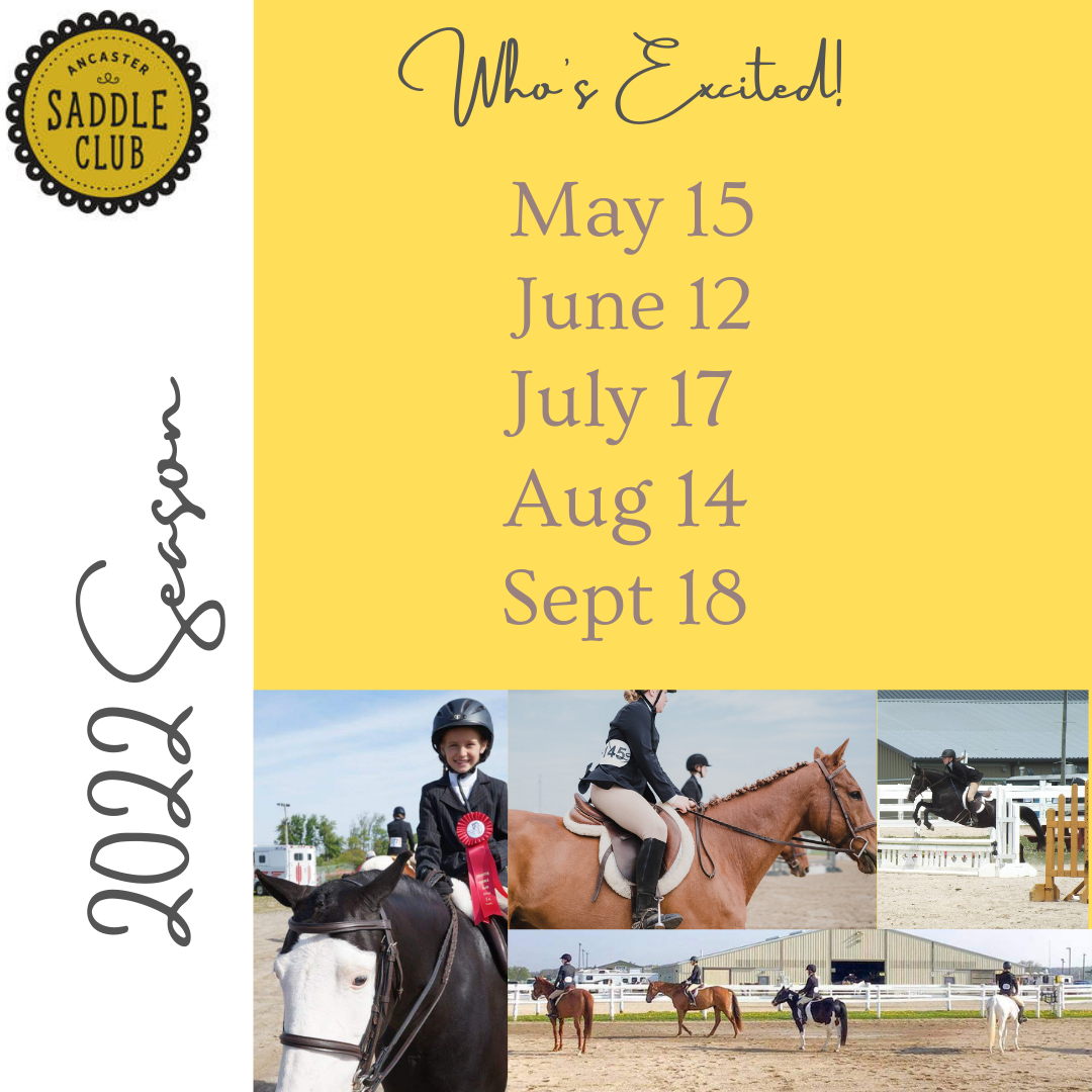 Ancaster Saddle Club- Aug Show