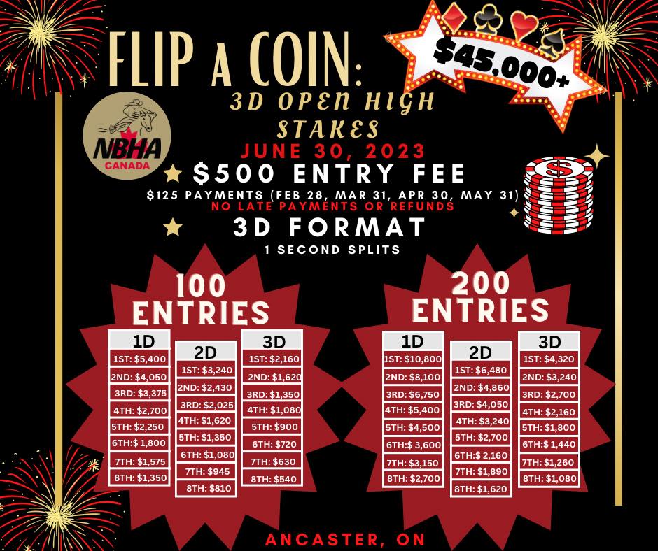 FLIP A COIN: 3D Open High Stakes