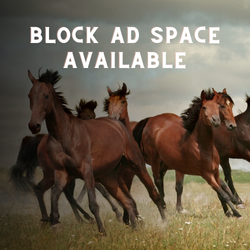 Block Ad Space Available