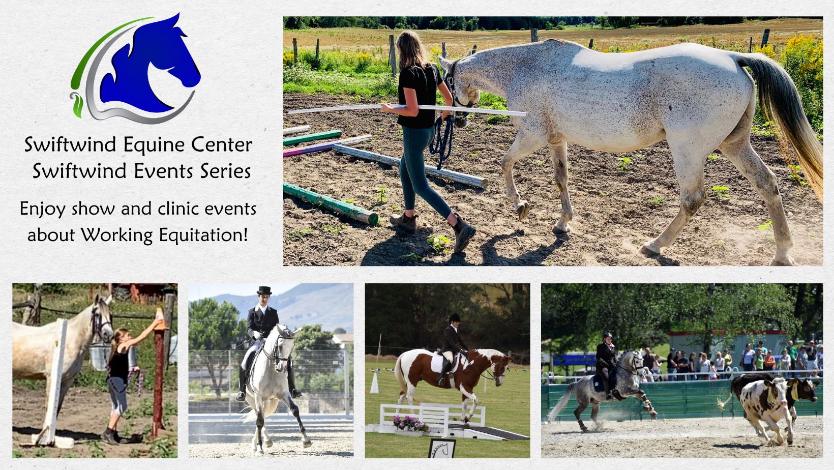 Intro to Working Equitation – Cattle Trials Clinic