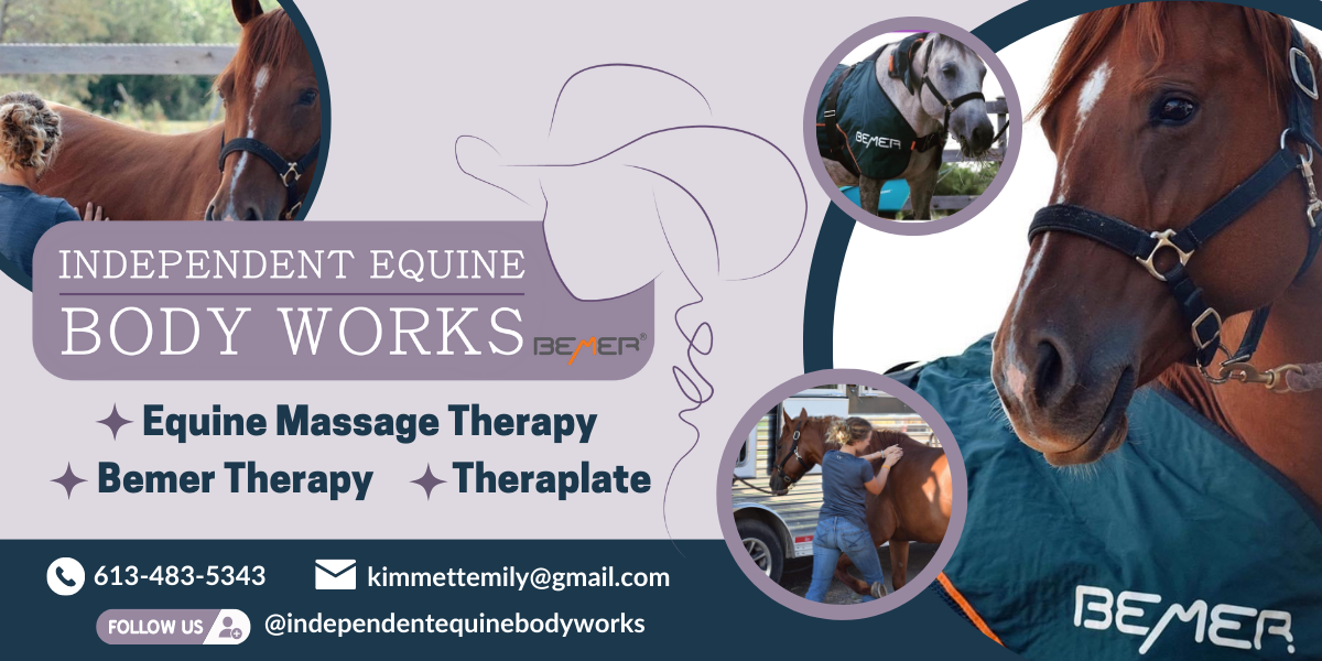 Independent Equine Body Works