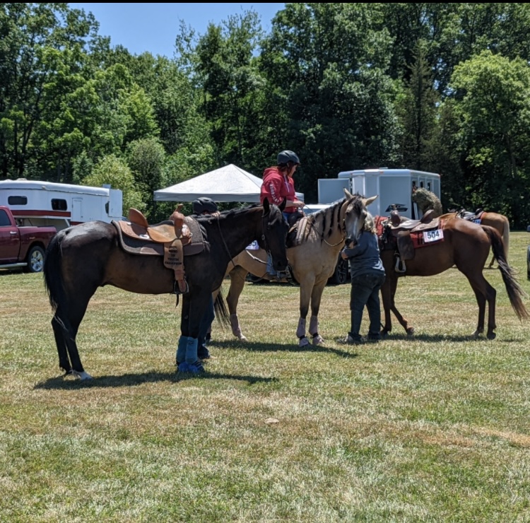 Port Colborne Bertie Willoughby Saddle Club