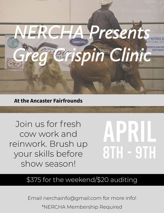 Northeastern Reined Cowhorse Alliance – Local/Fun Day Clinic!