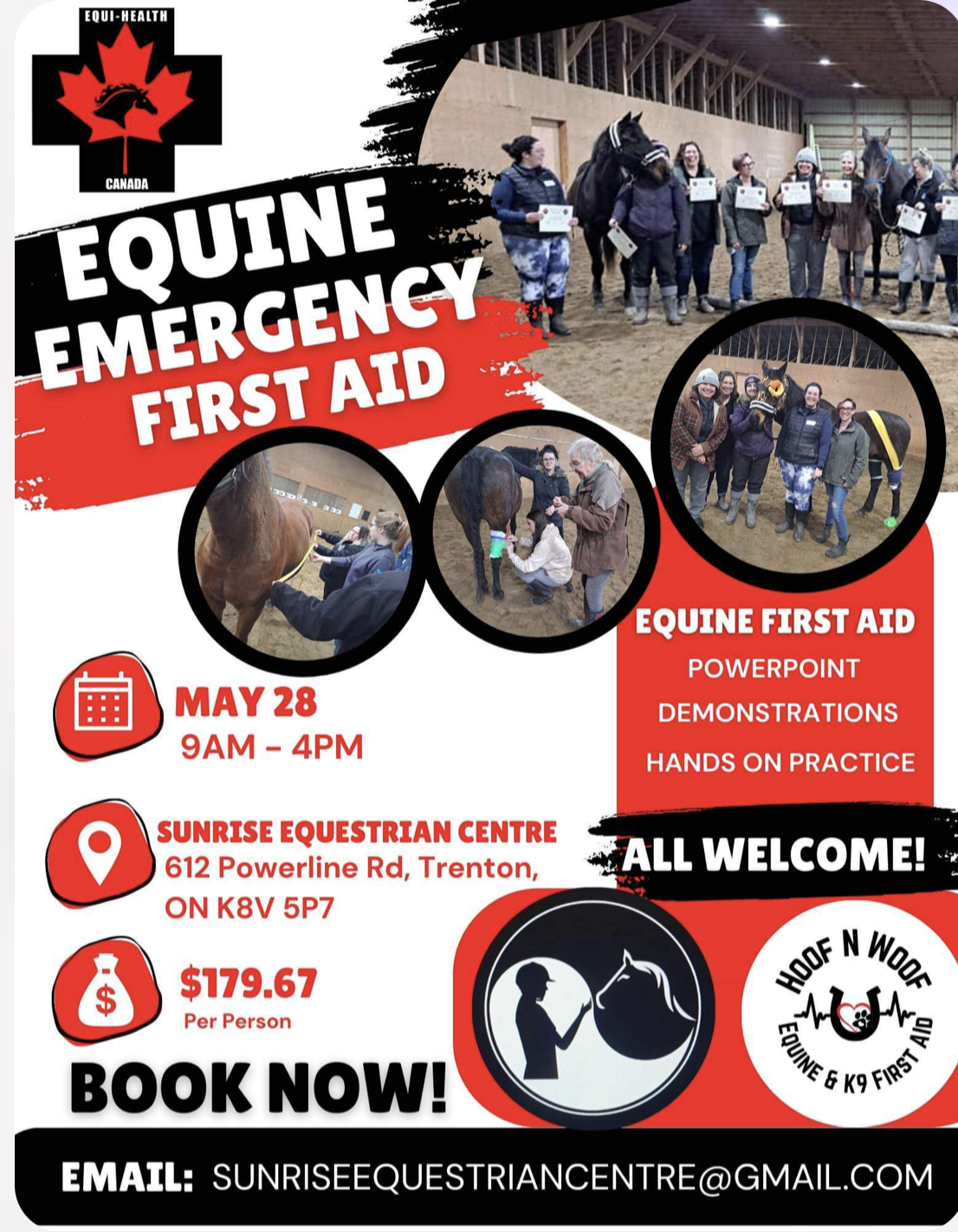 Equine First Aid